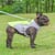 f65bddea-ae66-49f0-9feb-d0aa725c818f.jpg Summer Pet Cooling Vest