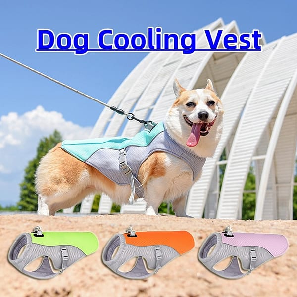 Summer Pet Cooling Vest