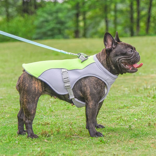 f65bddea-ae66-49f0-9feb-d0aa725c818f.jpg Summer Pet Cooling Vest